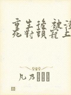 重生后 被渣男死对头宠上天封面