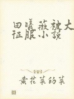 田曦薇被大肉楱征服小说封面