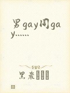 男gay同gay......