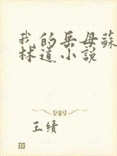 我的岳母苏沛真林道小说