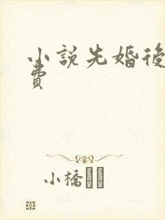 小说先婚后爱免费