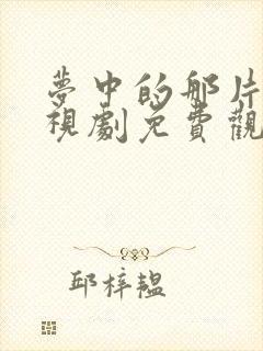 梦中的那片海电视剧免费观看全集西瓜封面