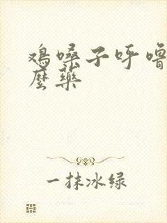 鸡嗓子呼噜吃什么药