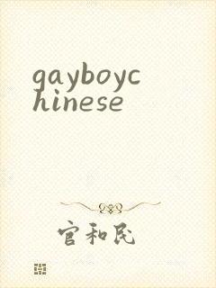 gayboychinese