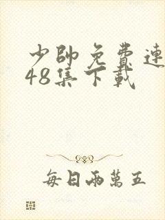 少帅免费连续剧48集下载封面