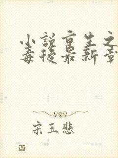 小说重生之将门毒后最新章节列表列表