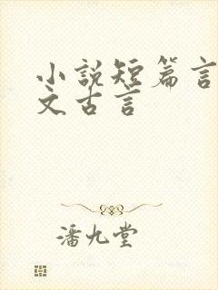 小说短篇言情甜文古言封面