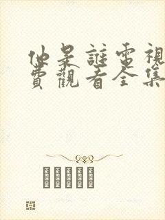 他是谁电视剧免费观看全集高清封面