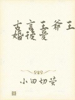古言王爷王妃先婚后爱