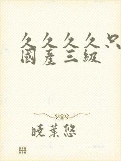 久久久久只精品国产三级封面