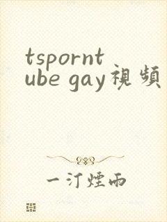 tsporntube gay视频