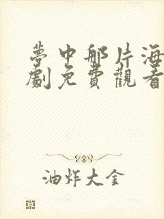 梦中那片海电视剧免费观看全集高清封面