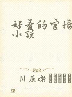 好看的官场完本小说