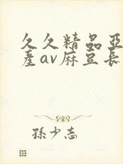 久久精品亚洲国产av麻豆长发