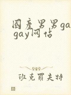 国产男男gay gay网站封面