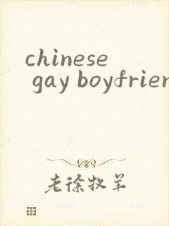chinese gay boyfriends free gay gv