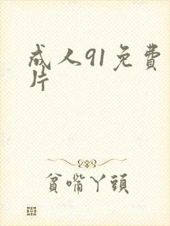 成人91免费看片