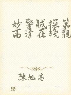 妙警贼探第5季高清在线观看封面