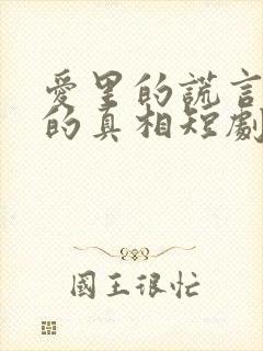 爱里的谎言仇恨的真相短剧