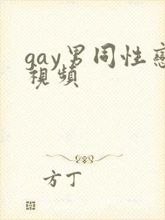 gay男同性恋视频
