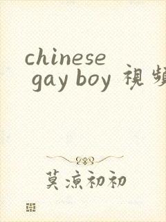 chinese gay boy 视频