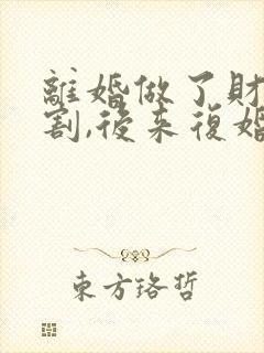 离婚做了财产分割,后来复婚封面