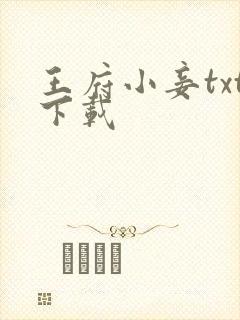 王府小妾txt下载封面