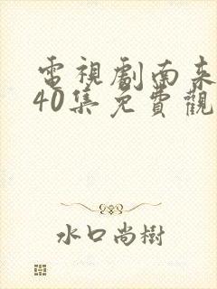 电视剧南来北往40集免费观看全集播放封面