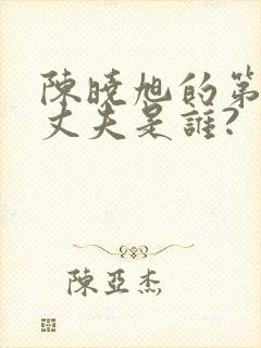 陈晓旭的第一任丈夫是谁?