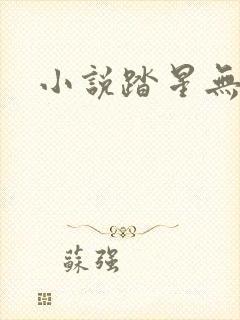 小说踏星无弹窗