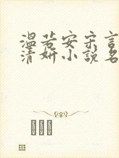 温若安宋言津林清妍小说名字封面