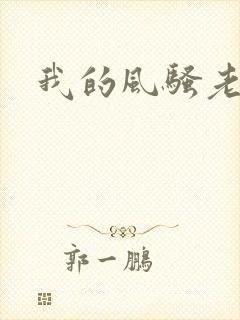 我的风骚老岳母封面