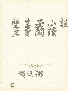 双生子小说全文免费阅读