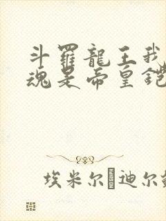 斗罗龙王我的武魂是帝皇铠甲免费阅读