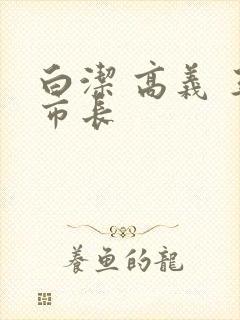 白洁 高义 王市长