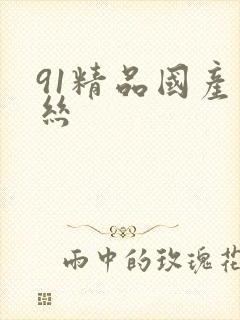 91精品国产黑丝