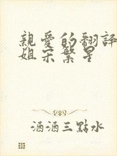 亲爱的翻译官小姐宋繁星