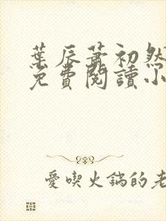 叶辰萧初然全文免费阅读小说最新章节