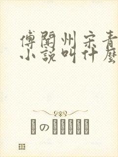 傅闻州宋青柚的小说叫什么