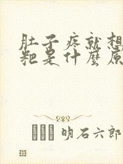 肚子疼就想拉粑粑是什么原因