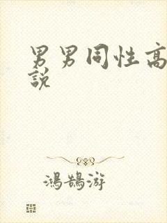 男男同性高h小说封面