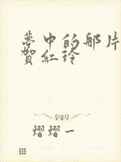 梦中的那片海 贺红玲