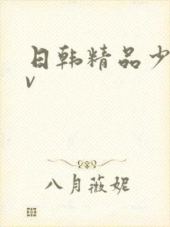 日韩精品少妇av
