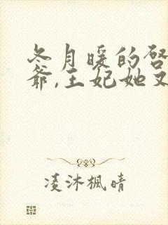 冬月暖的启禀王爷,王妃她又穷疯了封面