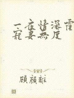 一夜情深霍先生宠妻无度