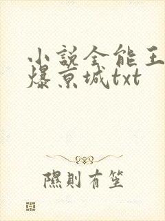 小说全能王妃火爆京城txt