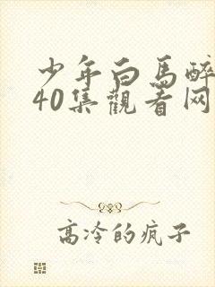 少年白马醉春风40集观看网站