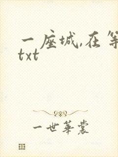 一座城,在等你txt