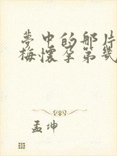 梦中的那片海晓梅怀孕第几集