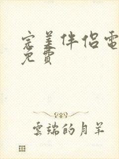 完美伴侣电视剧免费